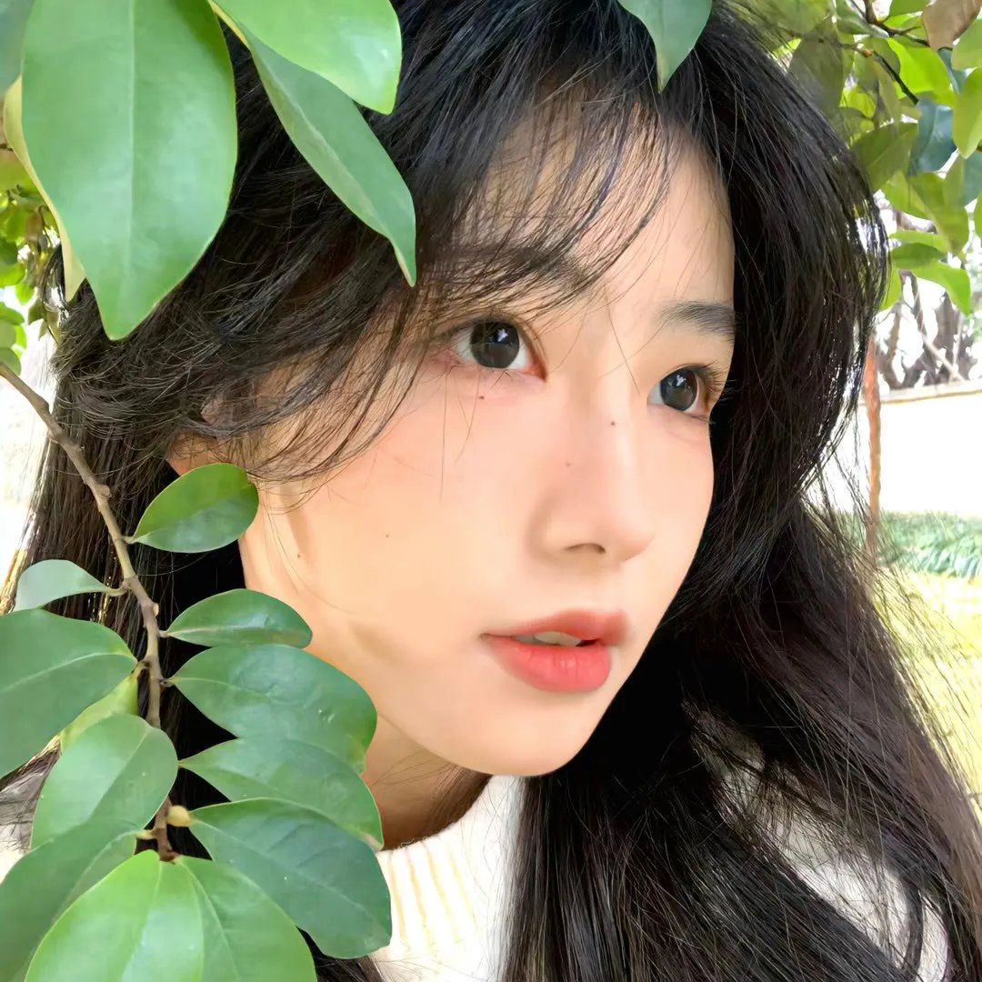 舞痴目眩